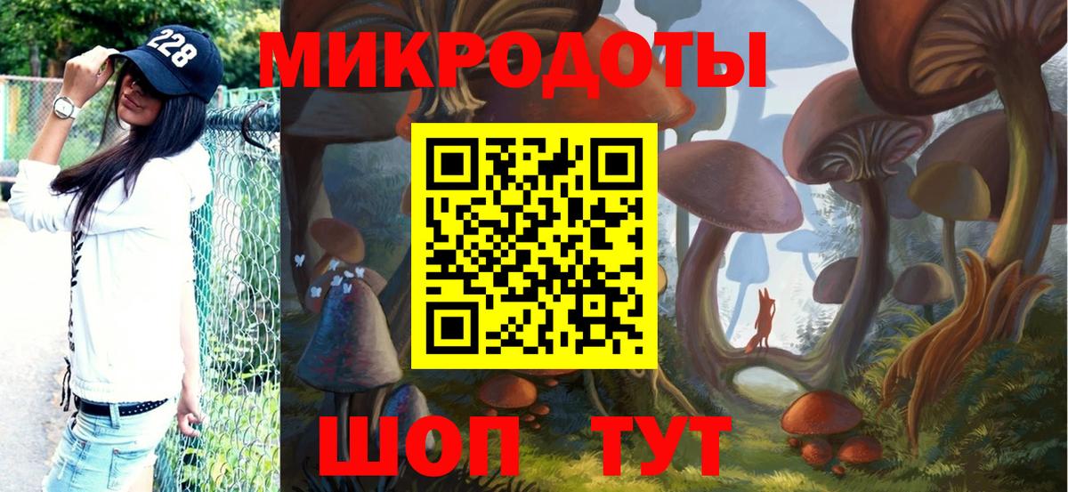 Галлюциногенные грибы Magic Shrooms  Вход с VPN  купить  цена  Элиста  Галлюциногенные грибы мухоморы 