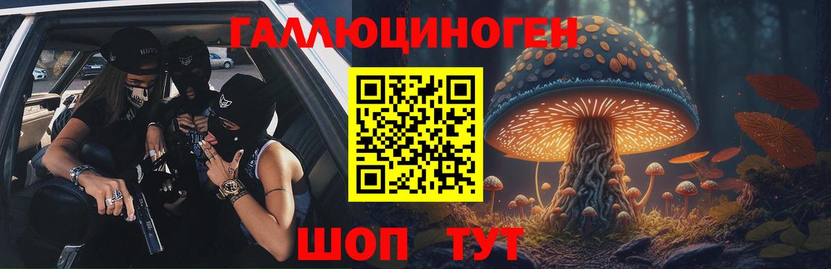 Галлюциногенные грибы Magic Shrooms Элиста